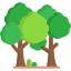 forest.png